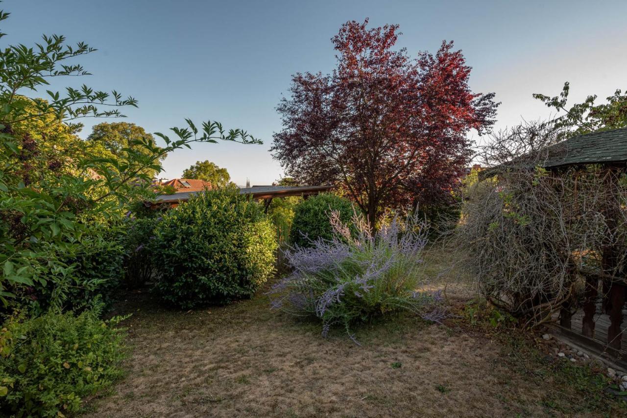Ferienhaus Bis 10 Personen Und 2,5 Schlafzimmern Geisenheim Eksteriør bilde